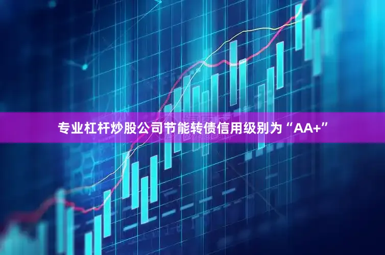专业杠杆炒股公司节能转债信用级别为“AA+”