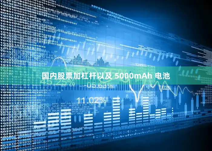 国内股票加杠杆以及 5000mAh 电池